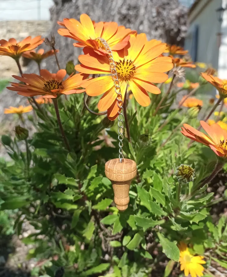 Photo d'une fleur orange avec un bourdon en train de butiner.