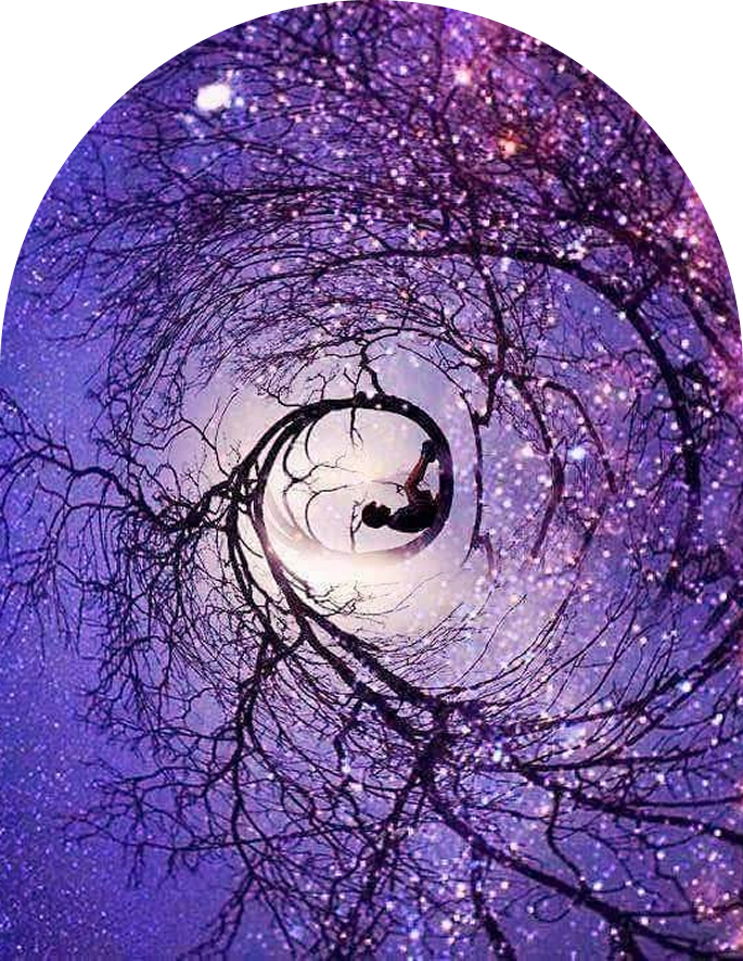 Illustration d'un arbre avec des branches en spirale sur un fond violet étoilé.