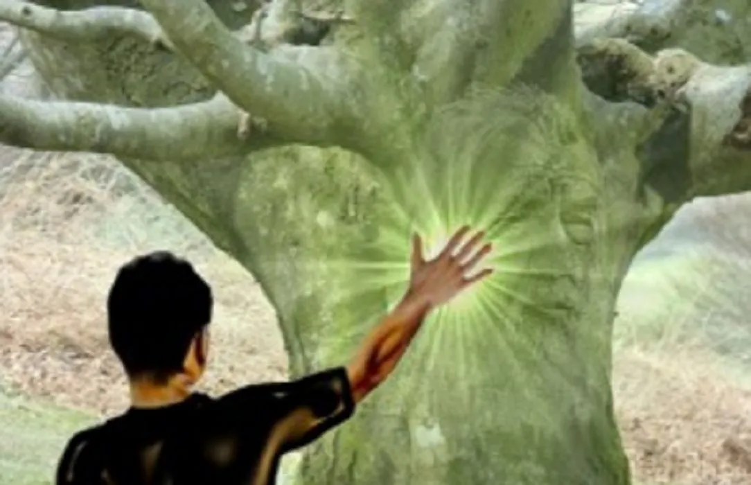 Image d'une personne tendant la main vers une lumière verte.